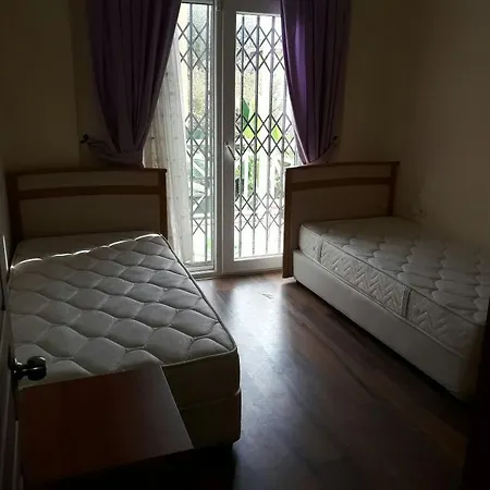 Tangerine Villalari فيلة كوشاداسيه